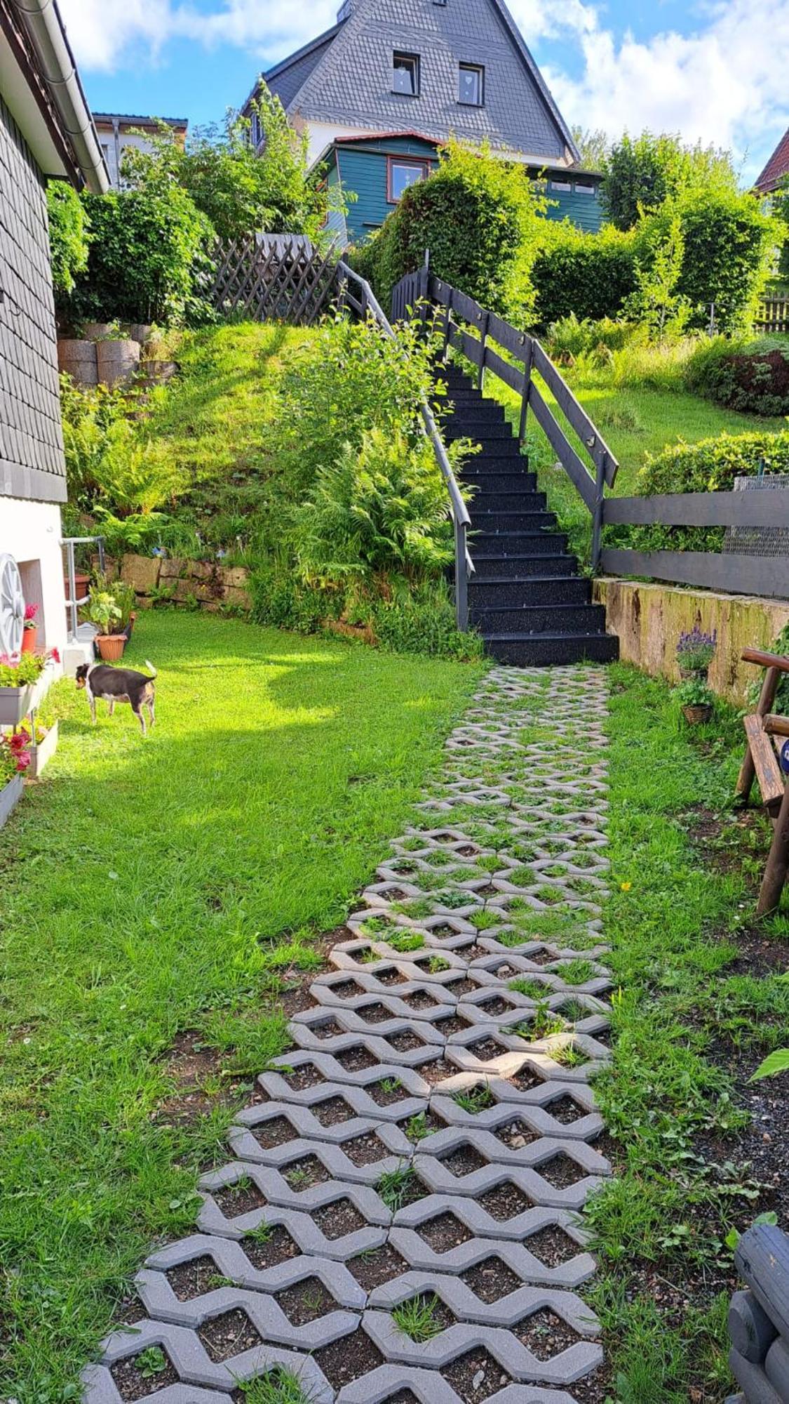 Ferienwohnung Friedrichsruh Braunlage Zewnętrze zdjęcie