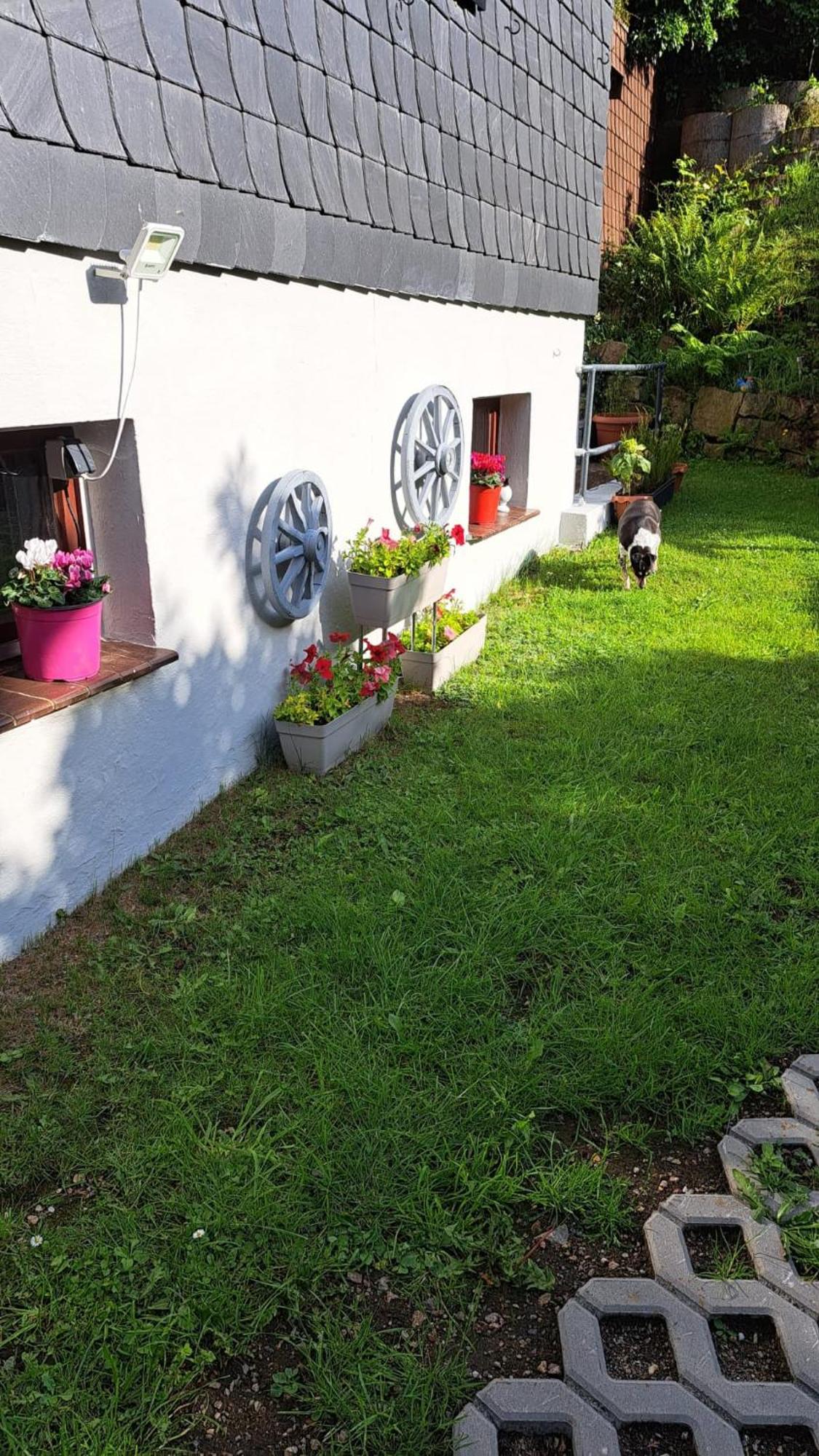 Ferienwohnung Friedrichsruh Braunlage Zewnętrze zdjęcie